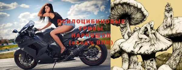 дурь Михайловск