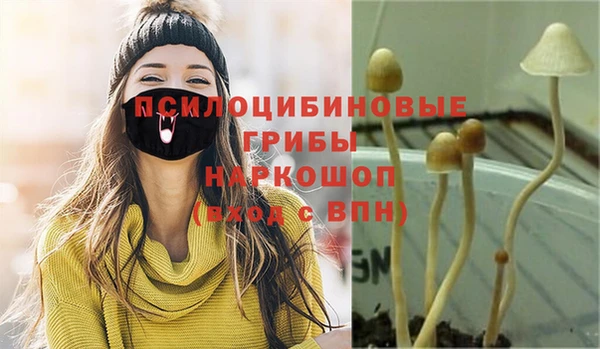 винт Михайлов