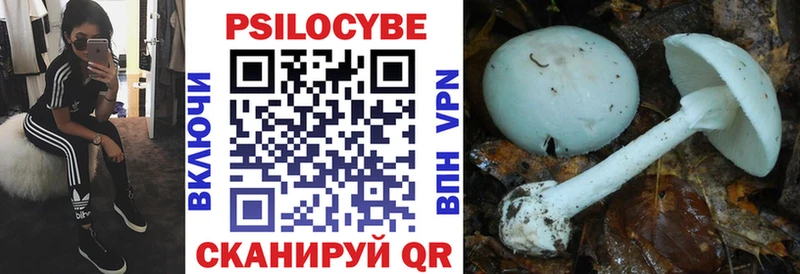 Псилоцибиновые грибы прущие грибы  Усть-Илимск 