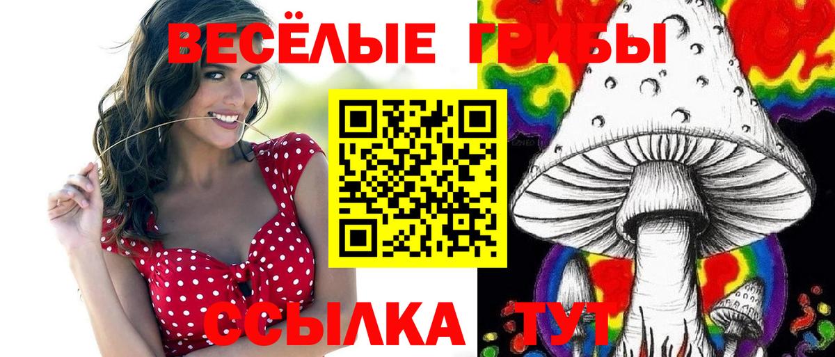 Галлюциногенные грибы Cubensis Усть-Илимск
