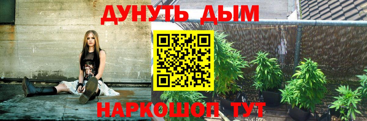 Бошки Шишки план Усть-Илимск